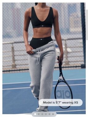 ALO accolade sweatpants gray jogger